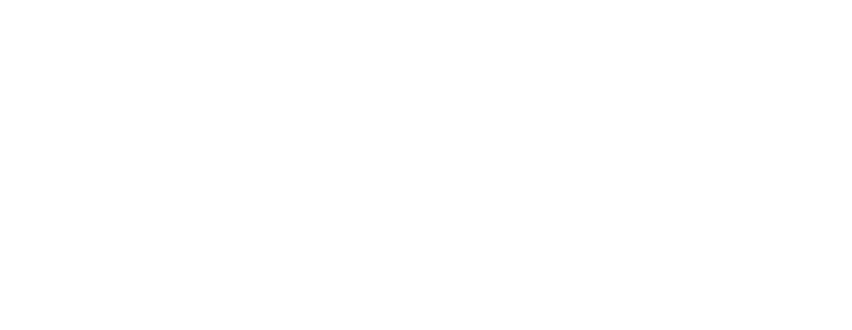 Pulido Store